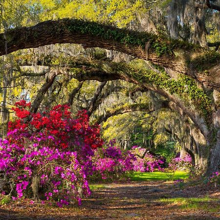 Cambria Hotel Summerville - Charleston エクステリア 写真